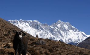 Everest Base Camp Trekking